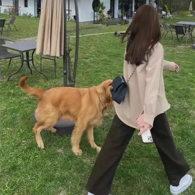 教授与疯子